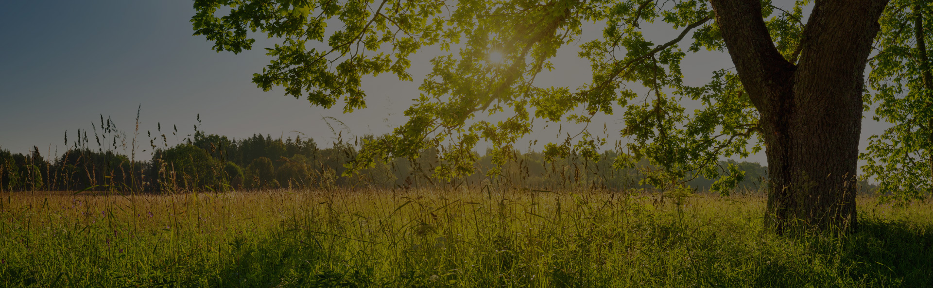 溫度保險(xiǎn)絲